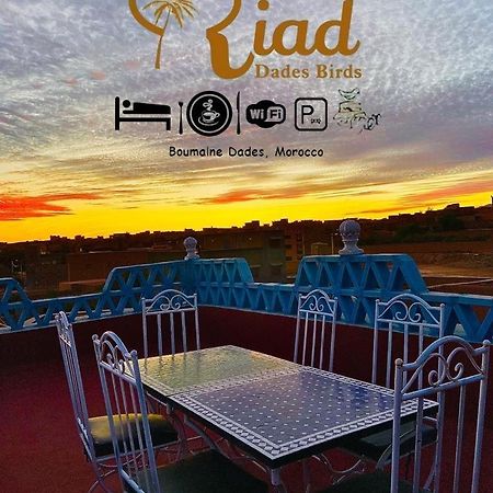 Riad Dades Birds Boumalne Dades Bagian luar foto