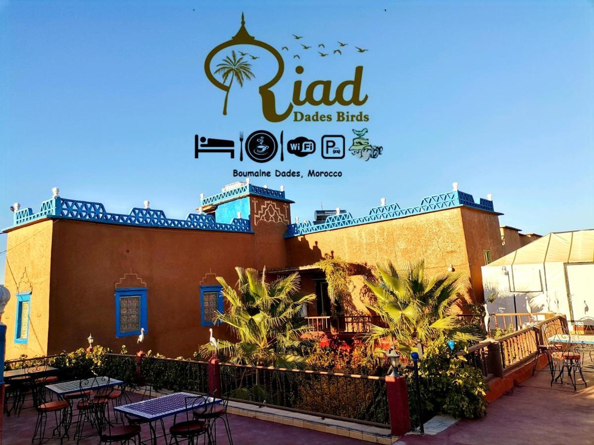 Riad Dades Birds Boumalne Dades Bagian luar foto