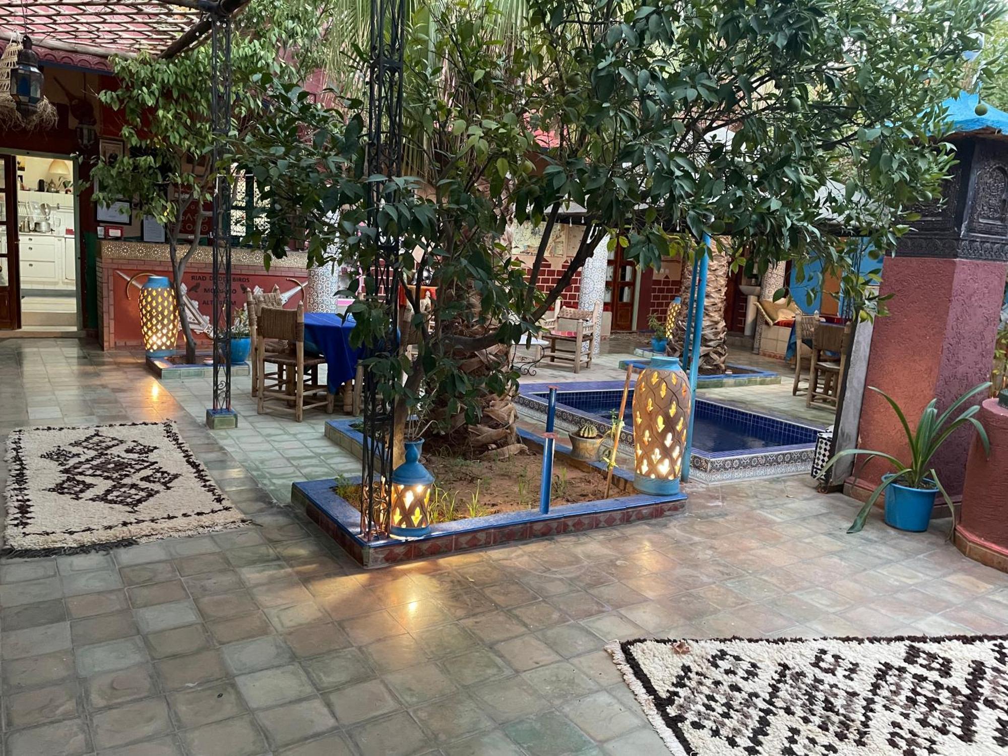 Riad Dades Birds Boumalne Dades Bagian luar foto