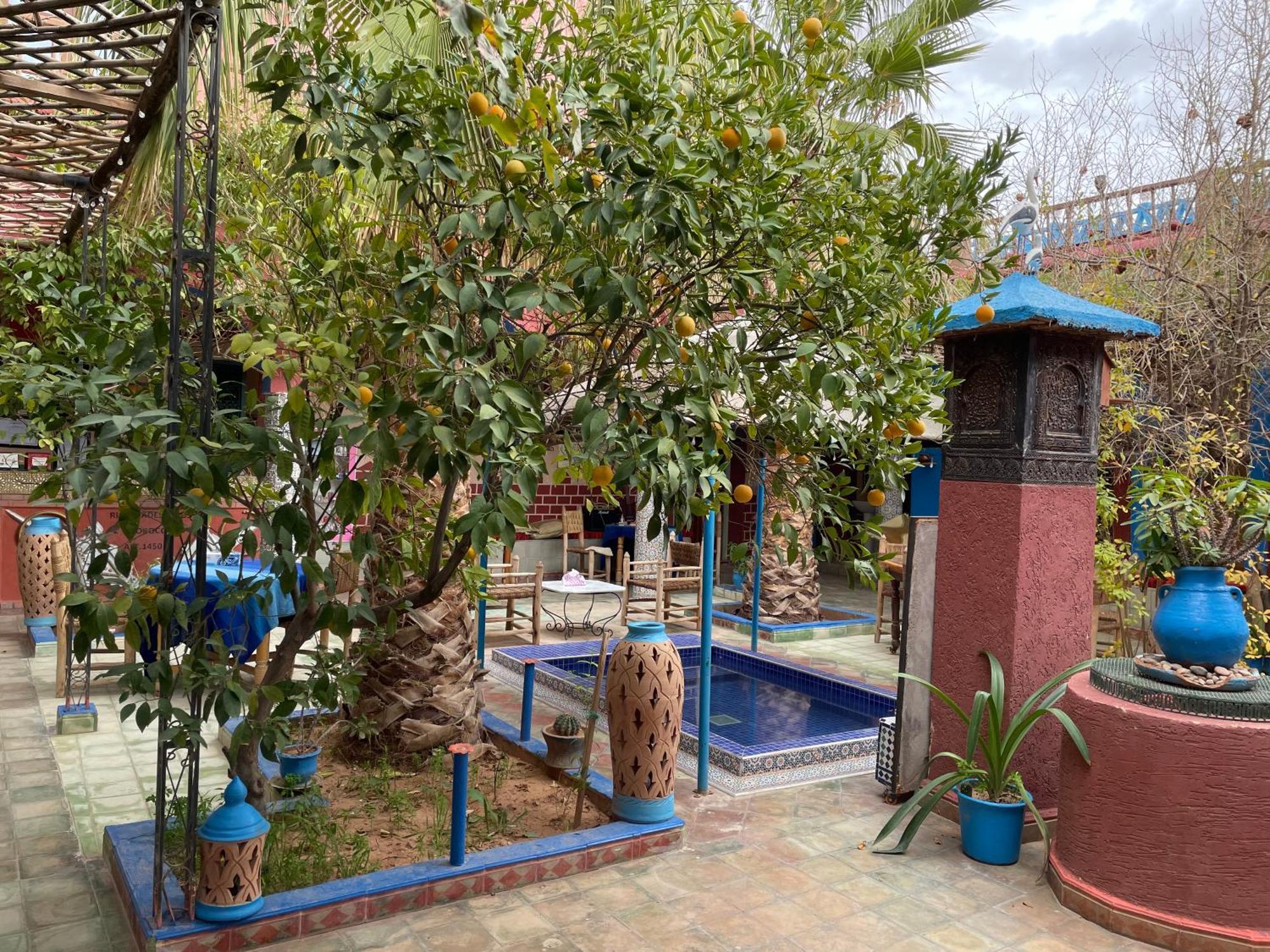 Riad Dades Birds Boumalne Dades Bagian luar foto